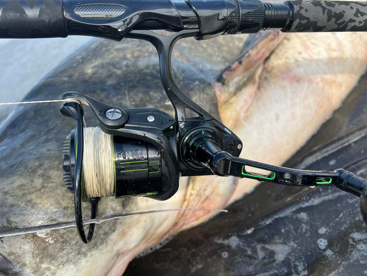 Mulinelli Cat Fishing
