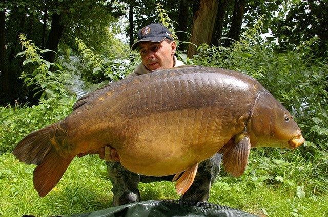 Carica immagine in Galleria Viewer, Ib Carptrack Monster/Liver Boilie