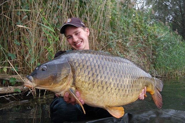 Carica immagine in Galleria Viewer, Ib Carptrack Monster/Liver Mix