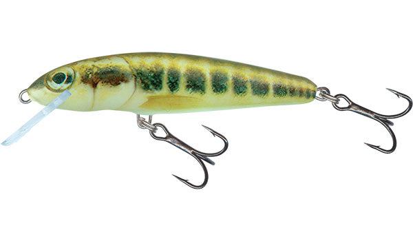 Carica immagine in Galleria Viewer, Salmo Minnow Floating - 5cm