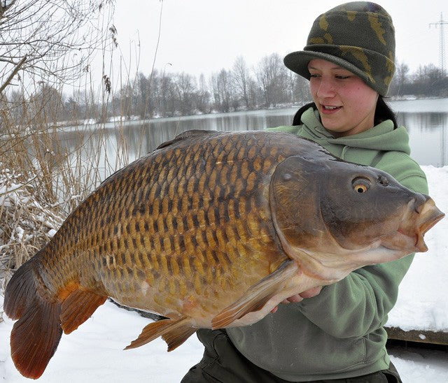 Laden Sie das Bild in Galerie -Viewer, IB Carptrack Monsters Paradise Boilie Acque Fredde - Cold Water