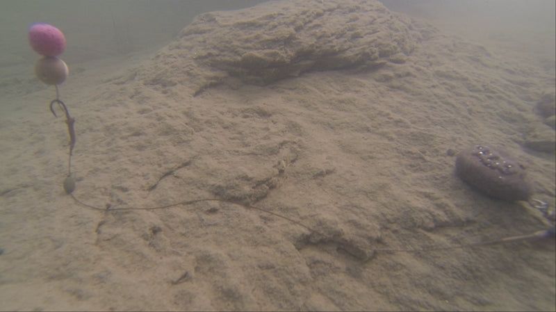 Laden Sie das Bild in Galerie -Viewer, Carp'r'us Strip-X