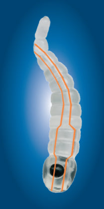 Carica immagine in Galleria Viewer, Carp'r'us Mouthsnagger "Shorty" - Dragonfly Larva