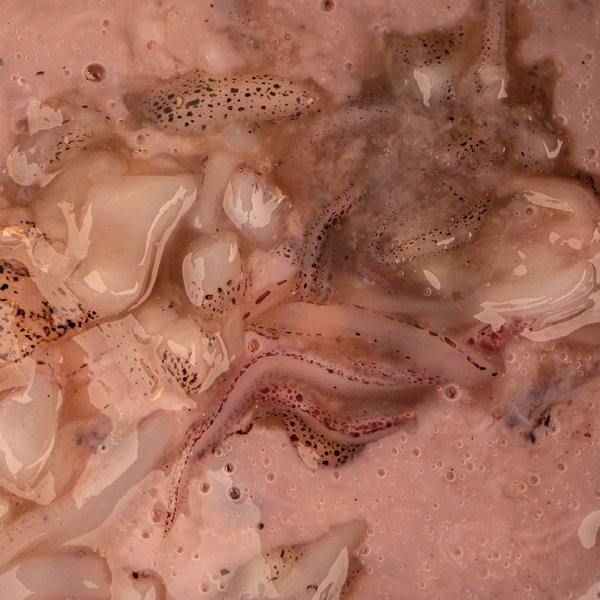 Carica immagine in Galleria Viewer, Kevin Nash Salted Squid