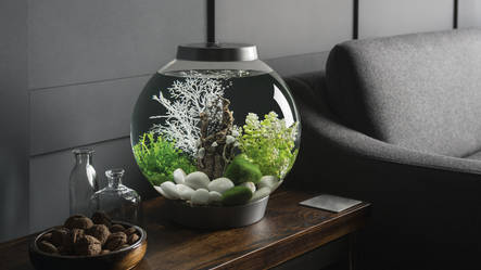 Carica immagine in Galleria Viewer, biOrb Acquario CLASSIC 15 MCR Bianco