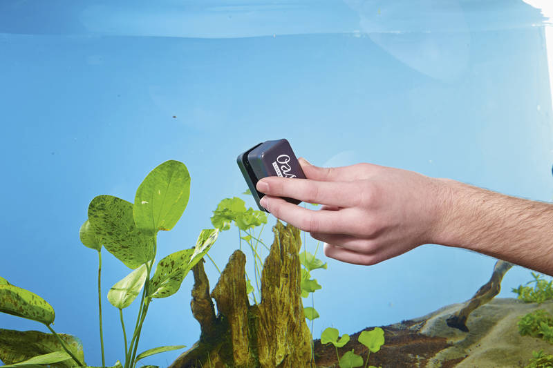 Carica immagine in Galleria Viewer, Oase Calamita Puliscivetro - Magnete per Vetri Acquario