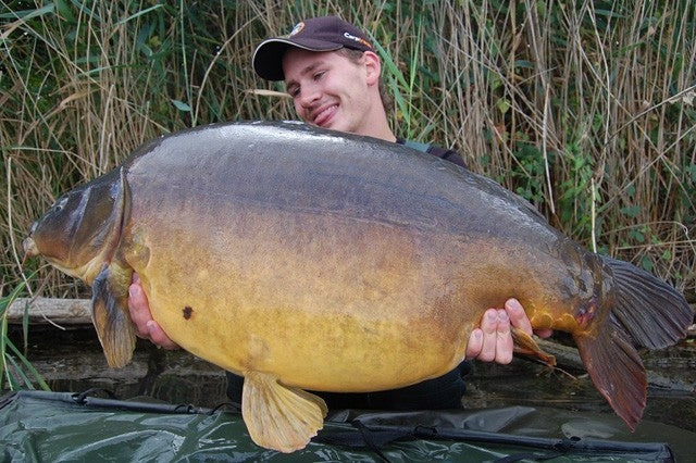 Carica immagine in Galleria Viewer, Ib Carptrack Monster/Liver Mix