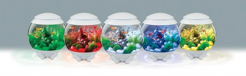 Carica immagine in Galleria Viewer, biOrb Acquario CLASSIC 15 MCR Bianco