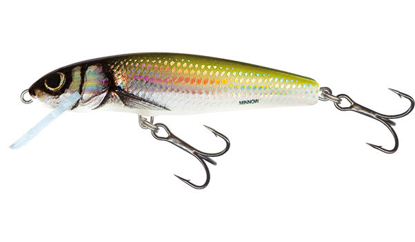 Carica immagine in Galleria Viewer, Salmo Minnow Floating - 7cm