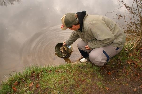 Chargez l'image dans la visionneuse de la galerie, Ib Carptrack Concentrato Di Squid/Liver