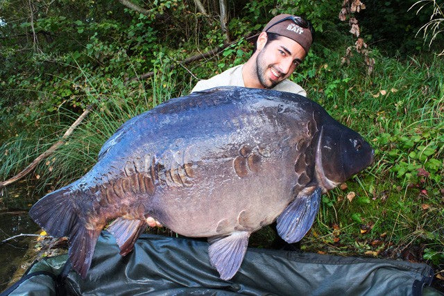 Laden Sie das Bild in Galerie -Viewer, Ib Carptrack Liquid-Powder Paste Mkii - Mega.Krill - 180 G