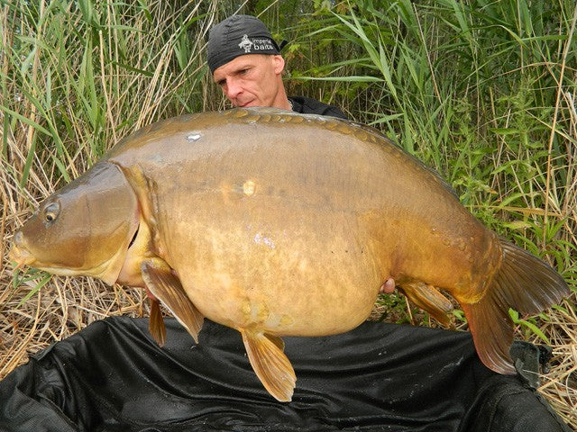 Laden Sie das Bild in Galerie -Viewer, Ib Carptrack Liquid-Powder Paste Mkii - Mega.Krill - 180 G