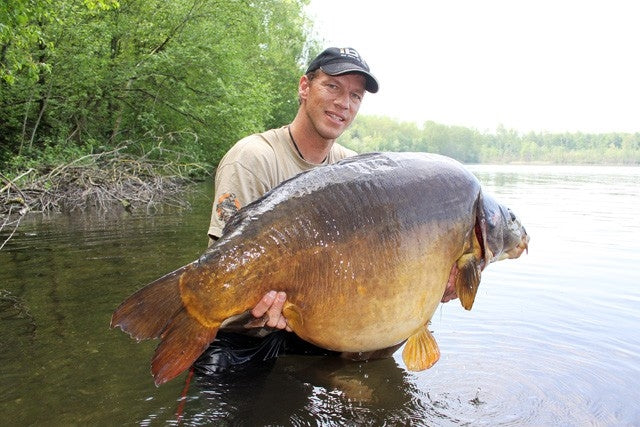 Carica immagine in Galleria Viewer, Ib Carptrack Elite Boilie