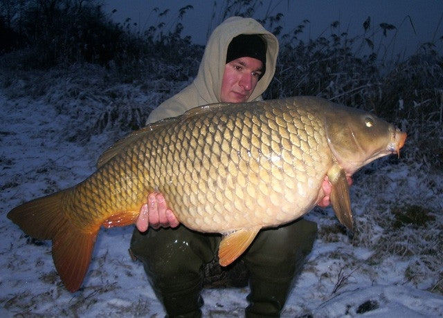 Laden Sie das Bild in Galerie -Viewer, IB Carptrack Monsters Paradise Boilie Acque Fredde - Cold Water