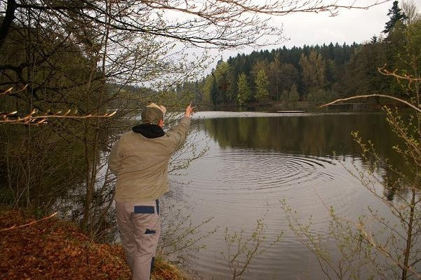 Chargez l'image dans la visionneuse de la galerie, Ib Carptrack Concentrato Di Squid/Liver