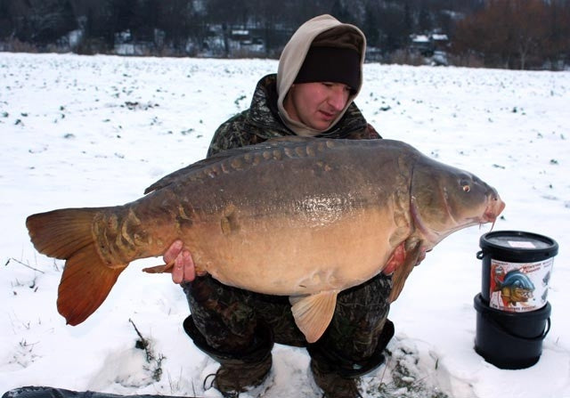 Laden Sie das Bild in Galerie -Viewer, IB Carptrack Monsters Paradise Boilie Acque Fredde - Cold Water