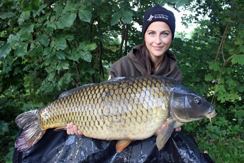 Laden Sie das Bild in Galerie -Viewer, Ib Carptrack Liquid-Powder Paste Mkii - Classic - 180gr
