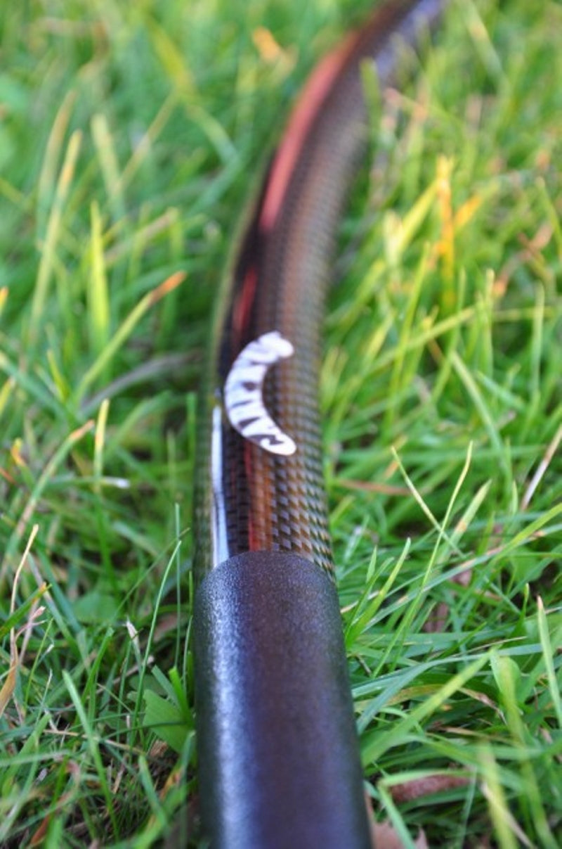 Carica immagine in Galleria Viewer, Carp'r'us Carbon Sky Sword