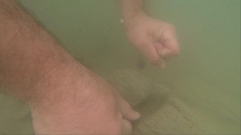 Laden Sie das Bild in Galerie -Viewer, Carp'r'us Strip-X