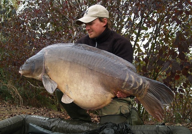 Carica immagine in Galleria Viewer, Ib Carptrack Elite Boilie