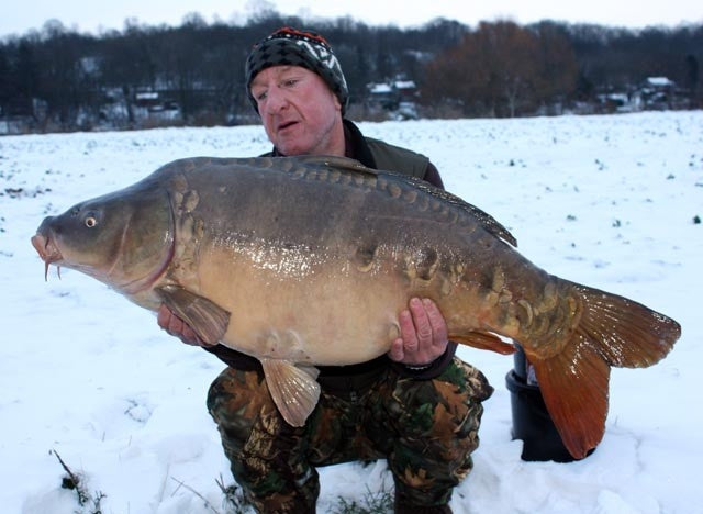 Laden Sie das Bild in Galerie -Viewer, IB Carptrack Monsters Paradise Boilie Acque Fredde - Cold Water