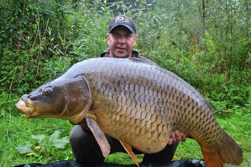 Laden Sie das Bild in Galerie -Viewer, Ib Carptrack Liquid-Powder Paste Mkii - Classic - 180gr