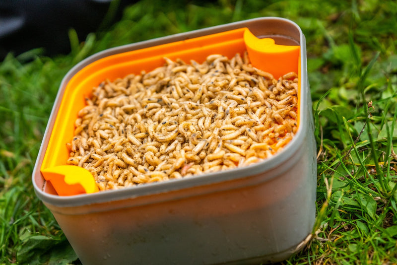 Carica immagine in Galleria Viewer, Guru Maggot Riddle - Setaccio per Esche Vive 3mm
