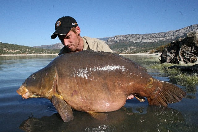 Carica immagine in Galleria Viewer, Ib Carptrack Monster/Liver Boilie