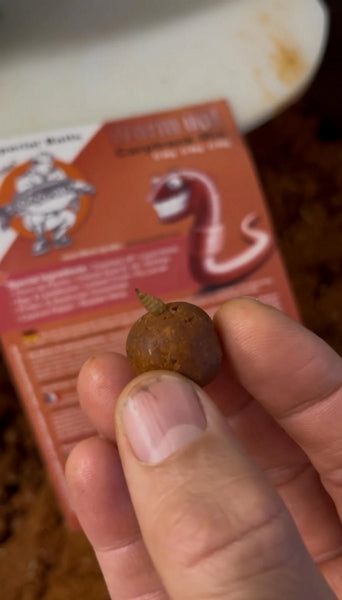 Carica immagine in Galleria Viewer, Ib Carptrack Worm Up Boilie