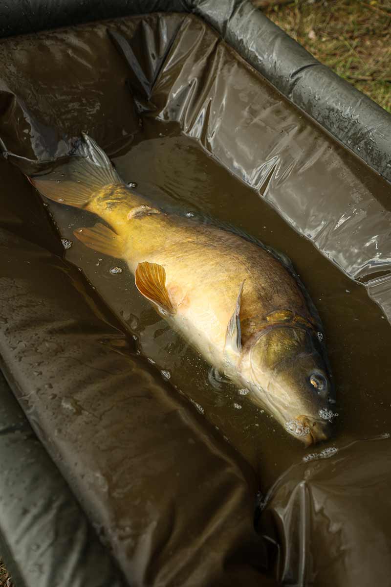 Carica immagine in Galleria Viewer, Fox Carpmaster Welded Cradle - Materassino di Slamatura