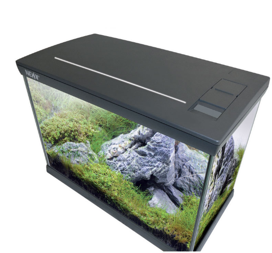 Carica immagine in Galleria Viewer, NEWA Mirabello young 30 MF Grigio