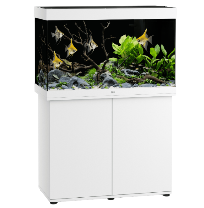 Carica immagine in Galleria Viewer, Juwel Rio 290 Led Bianco