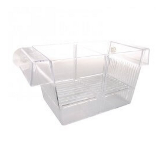 Zolux Sala Parto in Plastica - Galleggiante con Separatori