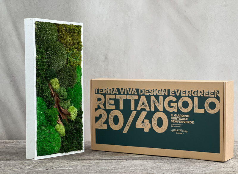 Carica immagine in Galleria Viewer, Terra Viva Design Quadro Rettangolo 30×40 con muschio stabilizzato