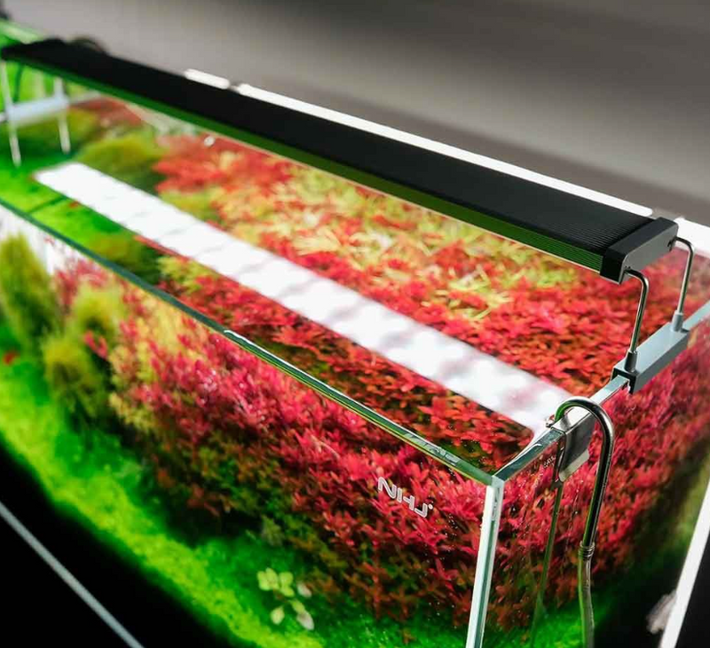 Carica immagine in Galleria Viewer, Chihiros B45 - Plafoniera LED per Acquari Piantumati 45-65 cm
