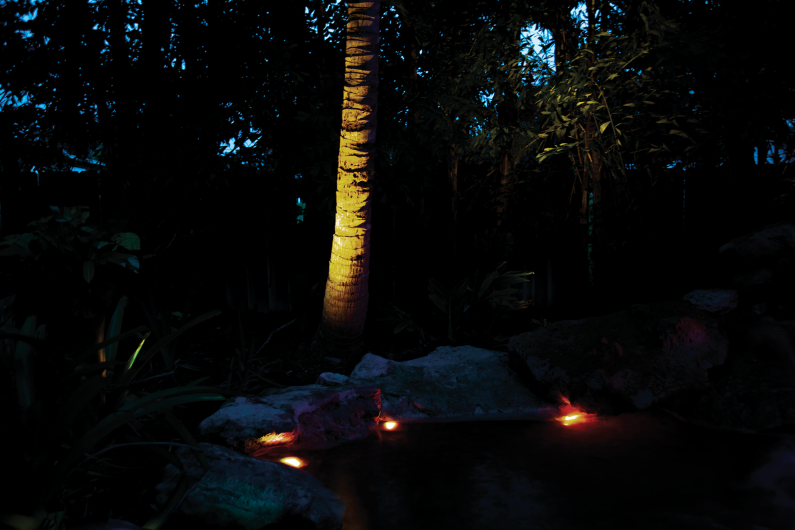 Carica immagine in Galleria Viewer, Pontec PondoStar LED RGBW Set 3 - Faretti per Laghetto e Giardino