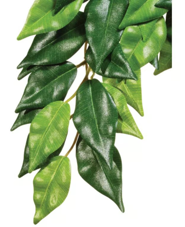 Carica immagine in Galleria Viewer, EXO TERRA - Ficus Medium - Pianta Artificiale Appesa per Terrario