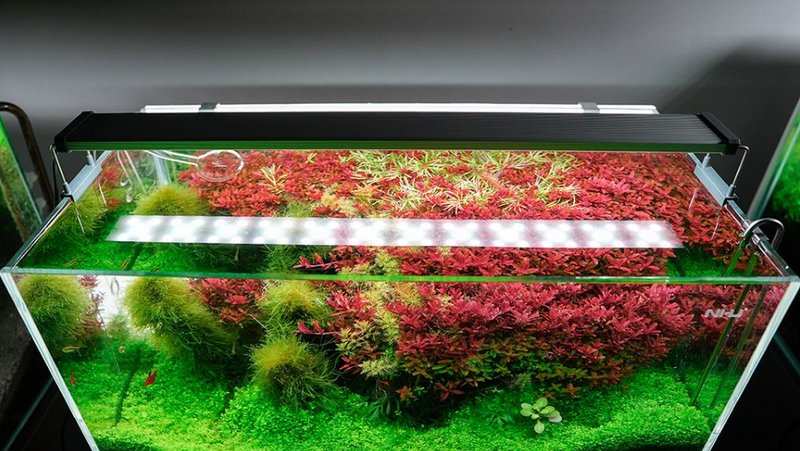 Carica immagine in Galleria Viewer, Chihiros - B30 LED / Plafoniera LED Bluetooth per Acquario