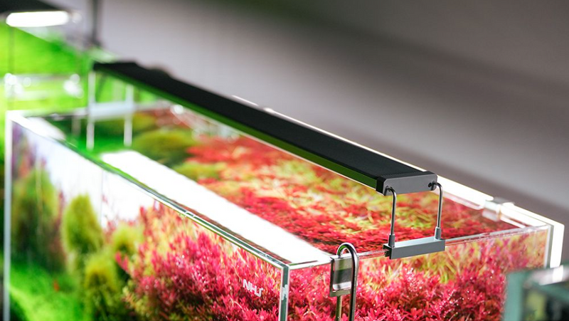 Carica immagine in Galleria Viewer, Chihiros - B60 LED / Plafoniera LED Bluetooth per Acquario