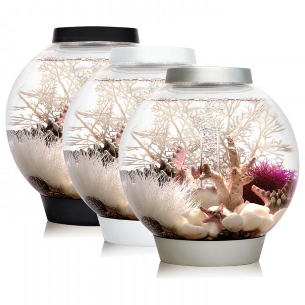 Carica immagine in Galleria Viewer, biOrb Acquario CLASSIC 15 MCR Bianco