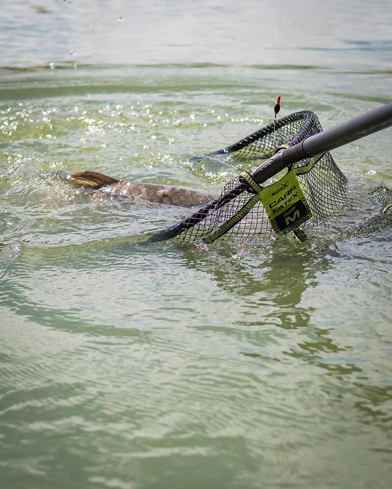 Carica immagine in Galleria Viewer, Matrix Carp Latex Landing Net - Teste di Guadino in Lattice