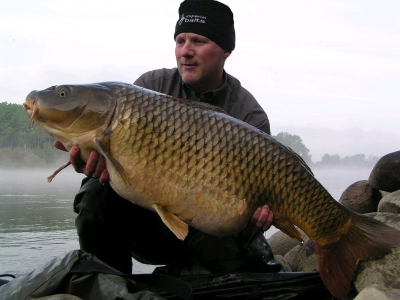 Carica immagine in Galleria Viewer, Ib Carptrack Elite Boilie