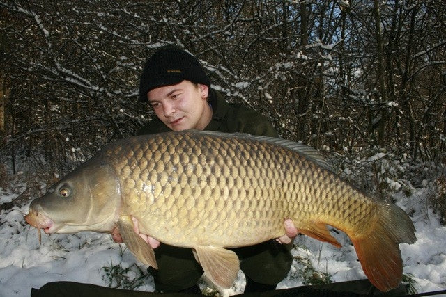 Carica immagine in Galleria Viewer, Ib Carptrack Monster-Liver Boilie Acque Fredde (Cold Water)