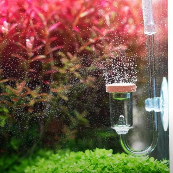 Carica immagine in Galleria Viewer, Chihiros Nano CO2 diffuser M