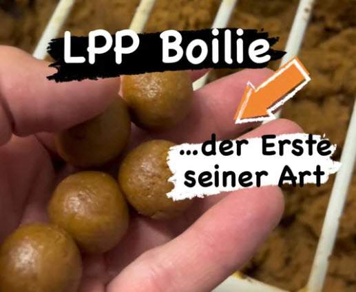 Carica immagine in Galleria Viewer, Ib Carptrack Lpp Boilies