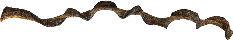 Laden Sie das Bild in Galerie -Viewer, REPTO Jungle Wood 95 cm, ramo contorto per terrario