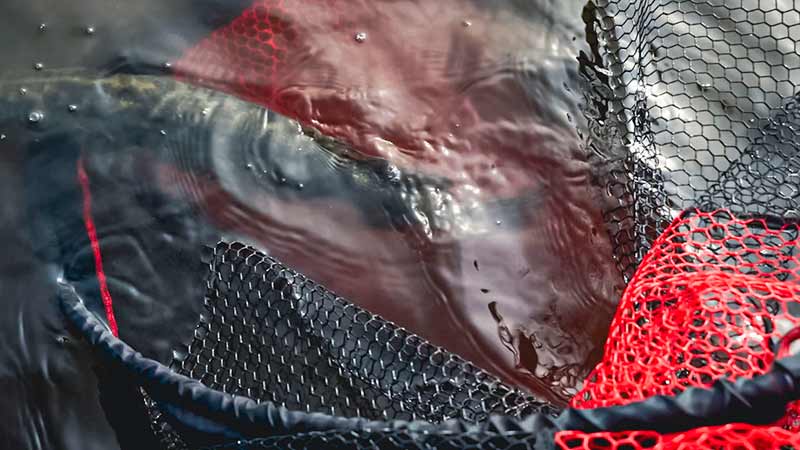Carica immagine in Galleria Viewer, Fox Rage Speedflow Landing Nets