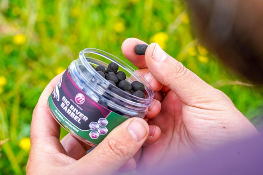 Mainline Big River Barbel Dumbell Hookbaits