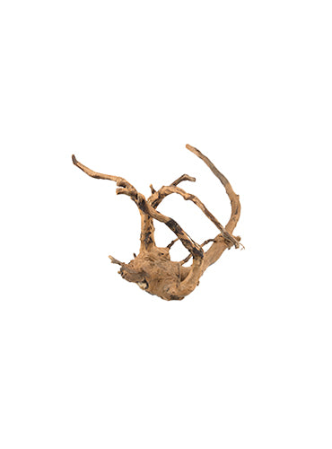 Carica immagine in Galleria Viewer, PURE Ornaments NATURAL WOOD