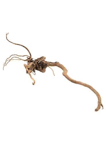 Carica immagine in Galleria Viewer, PURE Ornaments NATURAL WOOD